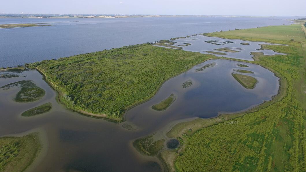 Haringvliet natuurgebied