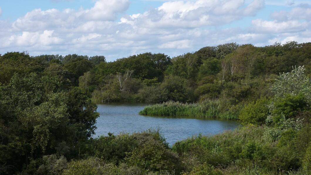 Natuurgebied Meijendel