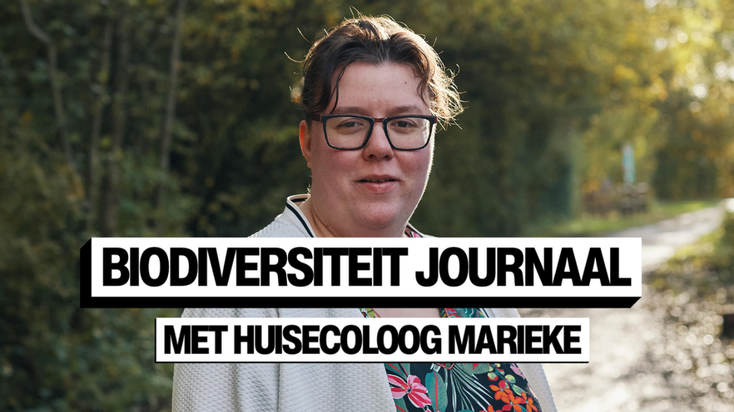 Foto van Marieke Spekreijse door Milan Rijnders met de titel in zwarte letters op witte balk