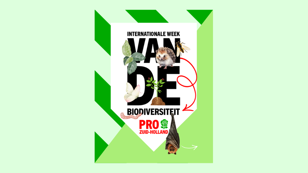 groene achtergrond met titel en illustraties van voorbeelden van biodiversiteit