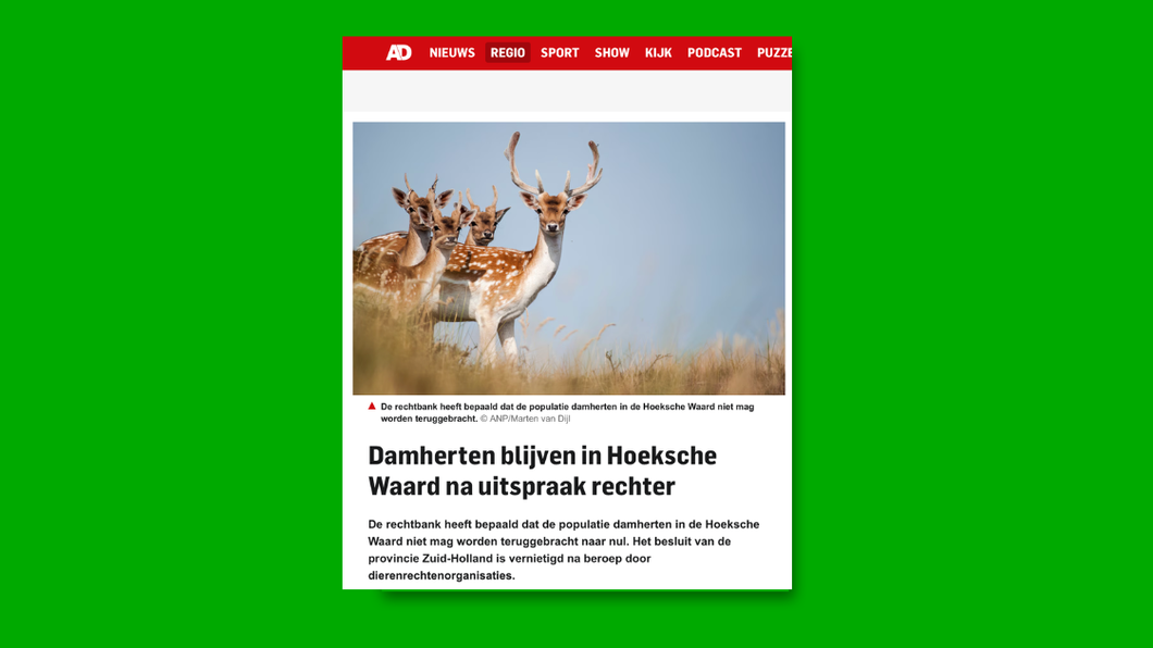 groene achtergrond knipsel nieuws damherten