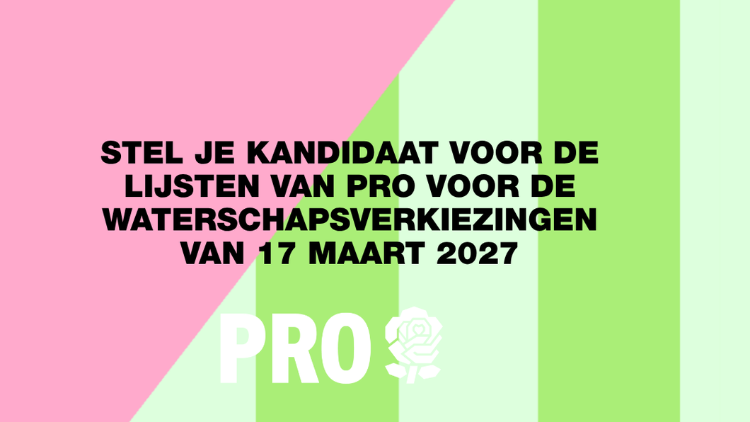 huisstijl met tekst