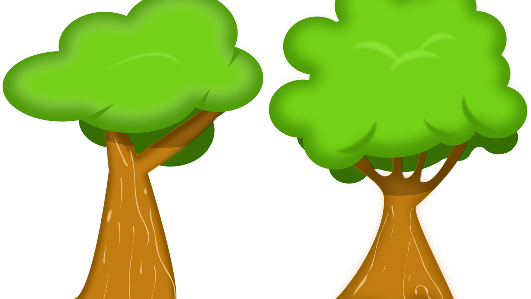 bomen.png