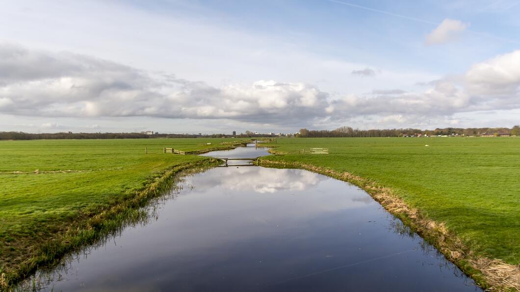 dutch-landscape-975333_1920.jpg