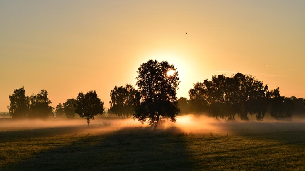 sunrise-1634734_1920.jpg