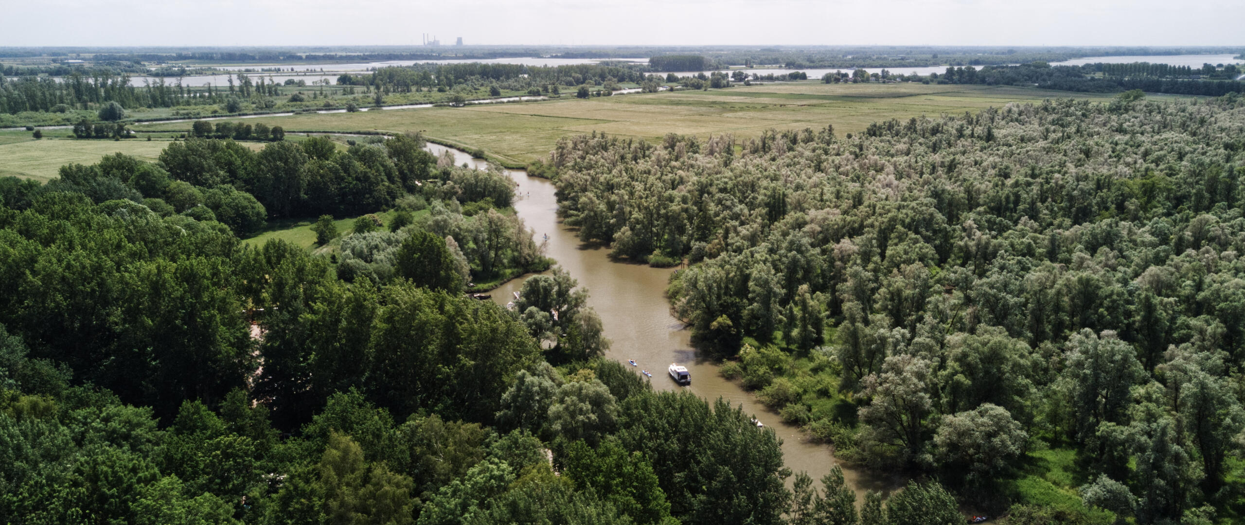 Rivier door het bos heen
