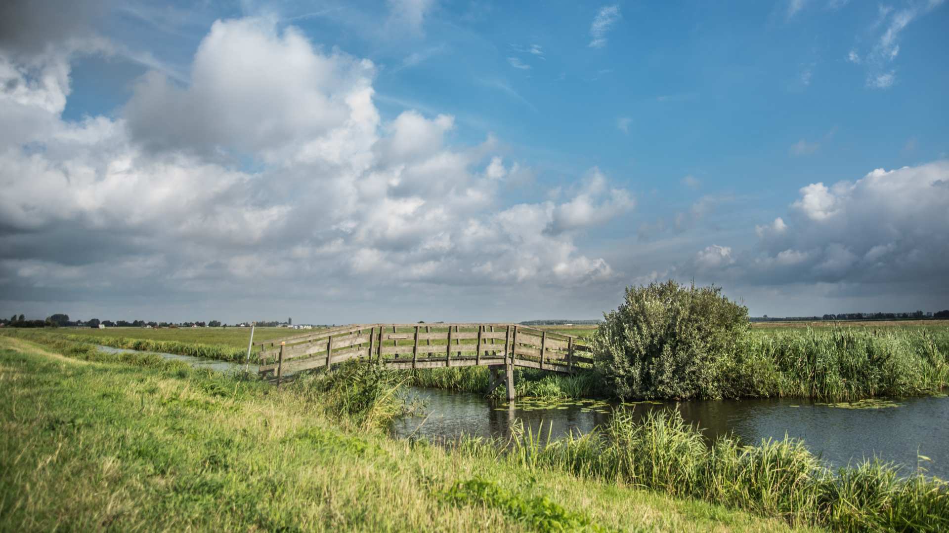 Omgeving
