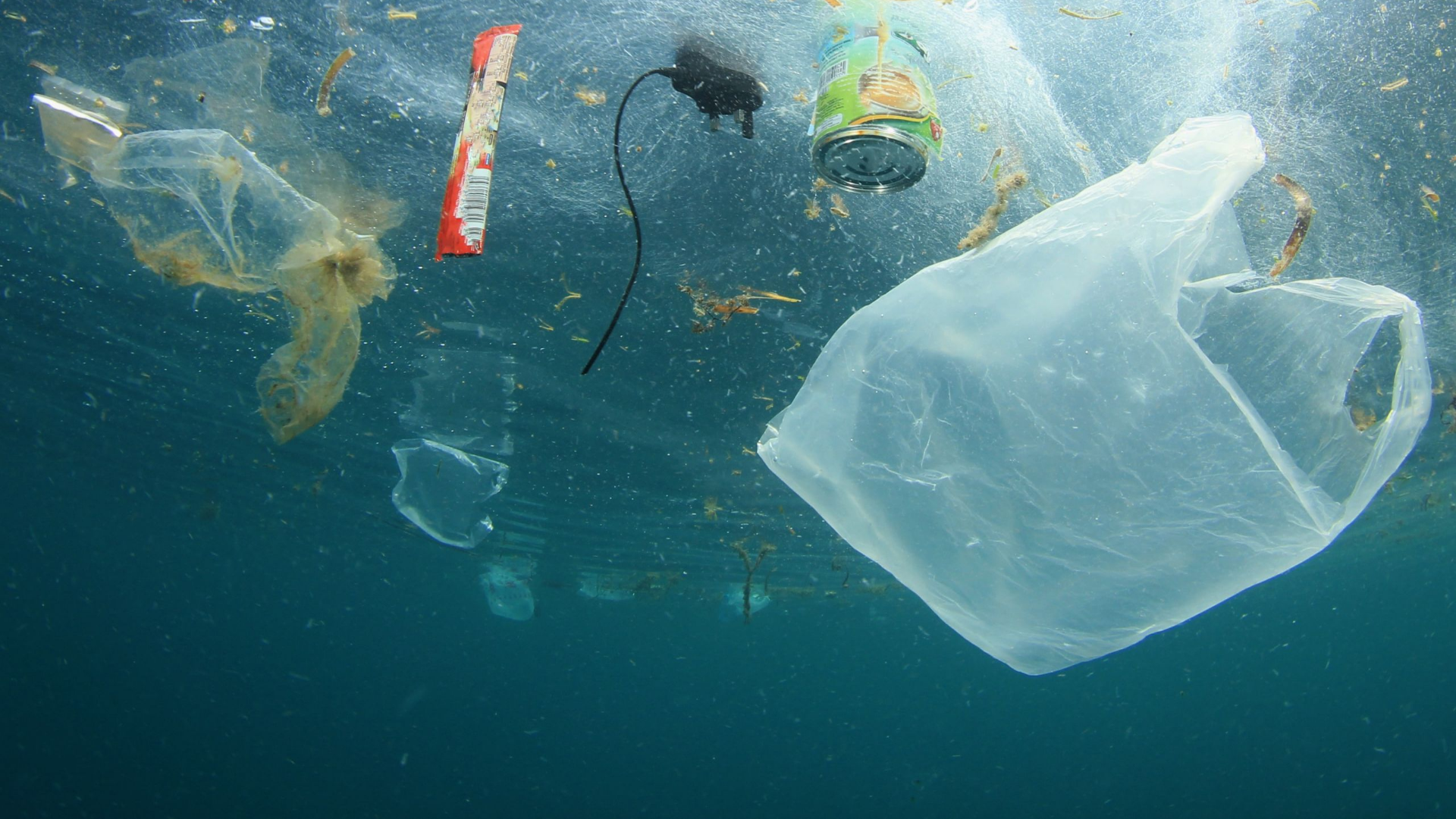Plastic