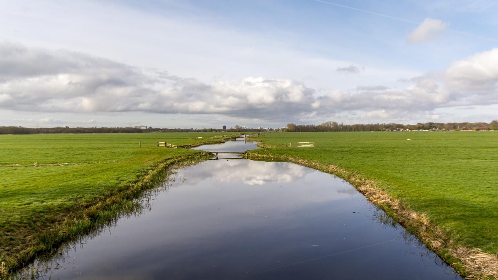 dutch-landscape-975333_1280.jpg
