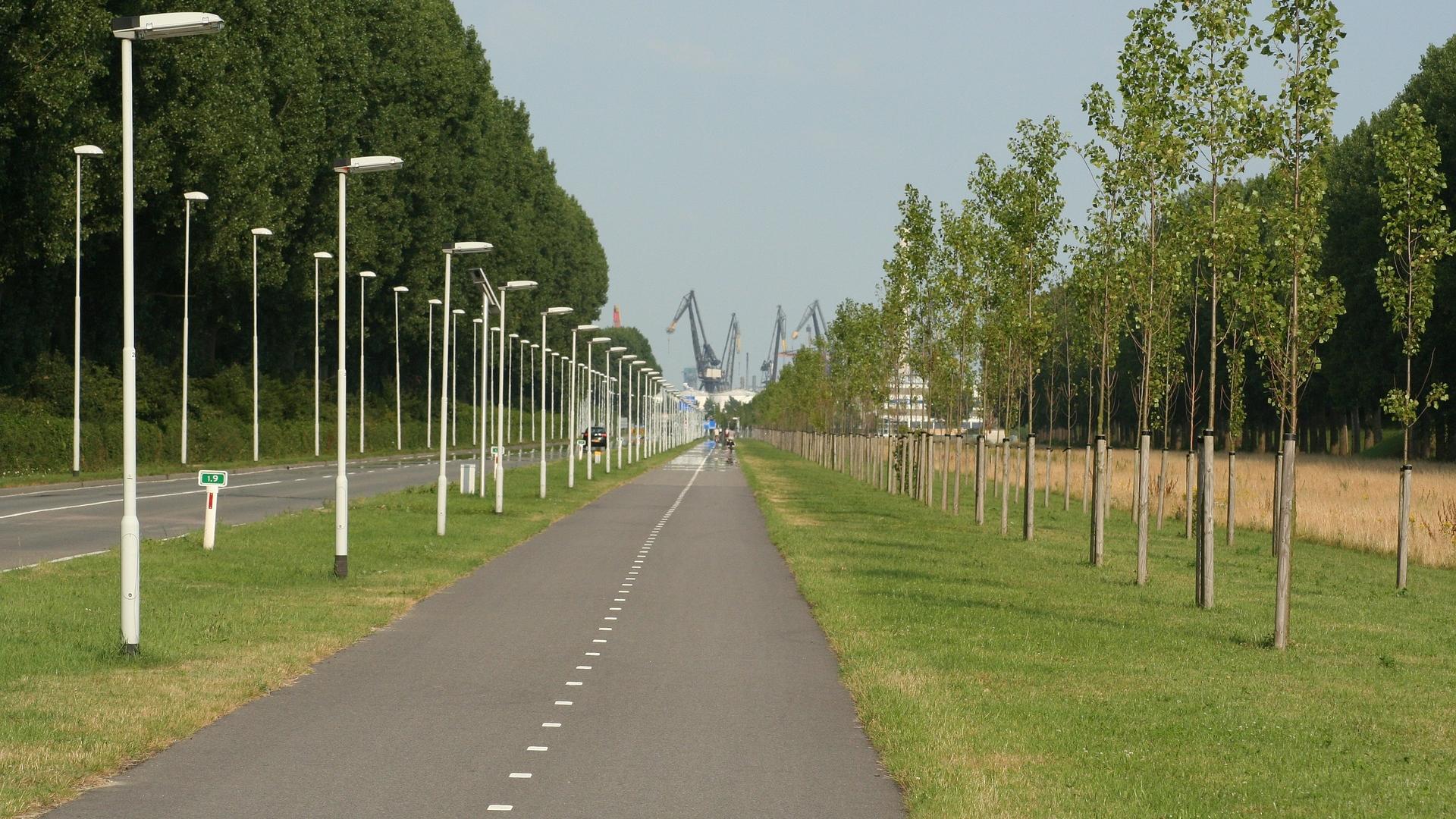 rozenburg-255403_1920.jpg